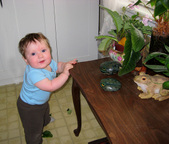 Enlarge photo 46