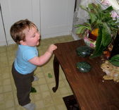 Enlarge photo 47