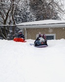 Enlarge photo 183