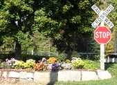 Enlarge photo 84