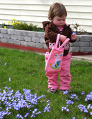 Enlarge photo 63