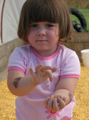 Enlarge photo 111