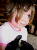 Enlarge photo 112