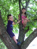 Enlarge photo 155