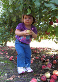 Enlarge photo 85