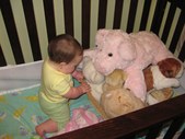 Enlarge photo 24