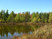 Enlarge photo 79