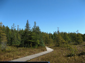 Enlarge photo 78
