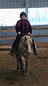 Enlarge photo 41