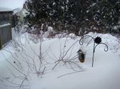 Enlarge photo 2
