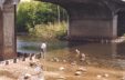 Enlarge photo 23