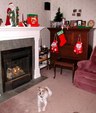 Enlarge photo 28