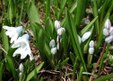 Spring 2004
