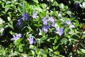 Enlarge photo 121