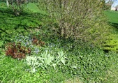Enlarge photo 123