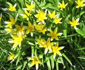 Enlarge photo 128
