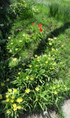 Enlarge photo 127
