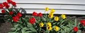 Enlarge photo 118