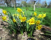 Enlarge photo 120