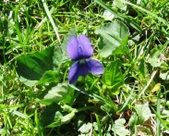 Enlarge photo 122