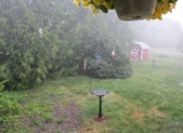 Enlarge photo 147