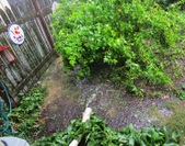Enlarge photo 149