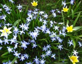 Enlarge photo 77