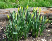 Enlarge photo 108