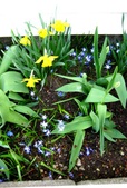 Enlarge photo 79