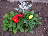 Enlarge photo 37