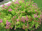 Enlarge photo 38