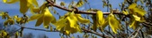Enlarge photo 116