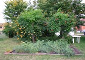 Enlarge photo 39