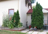 Enlarge photo 46