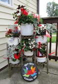Enlarge photo 151