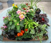 Enlarge photo 158