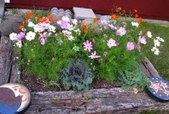Enlarge photo 25