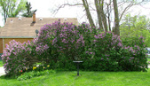Enlarge photo 5