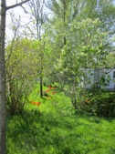 Enlarge photo 129
