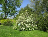 Enlarge photo 130