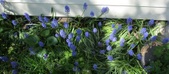 Enlarge photo 131
