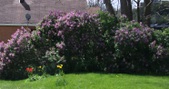 Enlarge photo 132