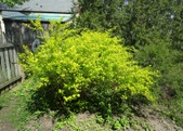 Enlarge photo 133