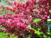 Enlarge photo 134