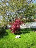 Enlarge photo 137