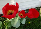 Enlarge photo 139