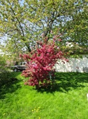 Enlarge photo 140
