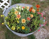 Enlarge photo 49