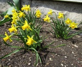 Enlarge photo 111