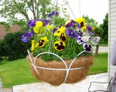 Enlarge photo 71